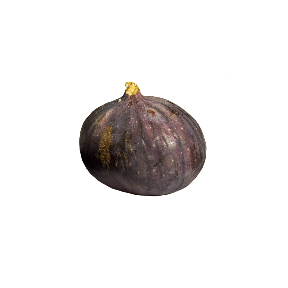 Figue en gros plan, représentant les fruits que le cueille-fruit Girafruit peut saisir avec ses raquettes adaptées