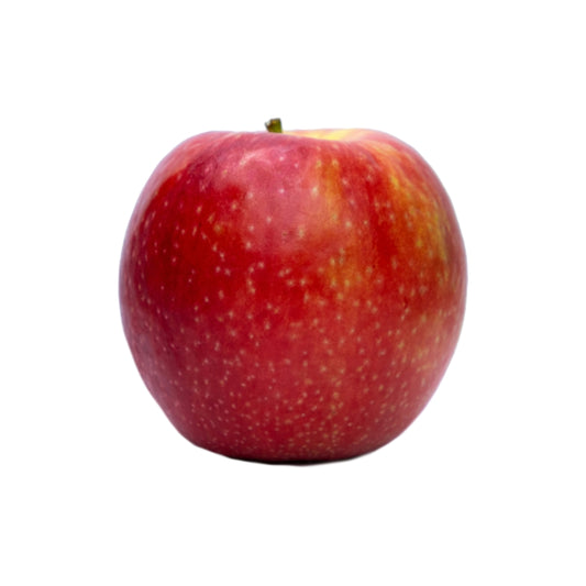 Pomme en gros plan, représentant les fruits que le cueille-fruit Girafruit peut saisir avec ses raquettes adaptées