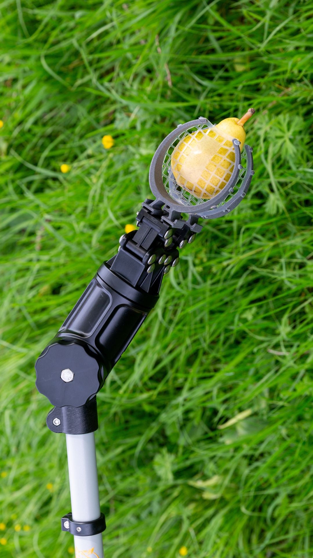 Kit complet Girafruit 200 cm