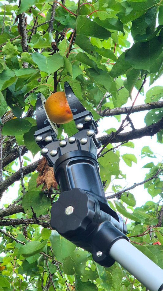Kit complet - Abricots Prunes - 200cm